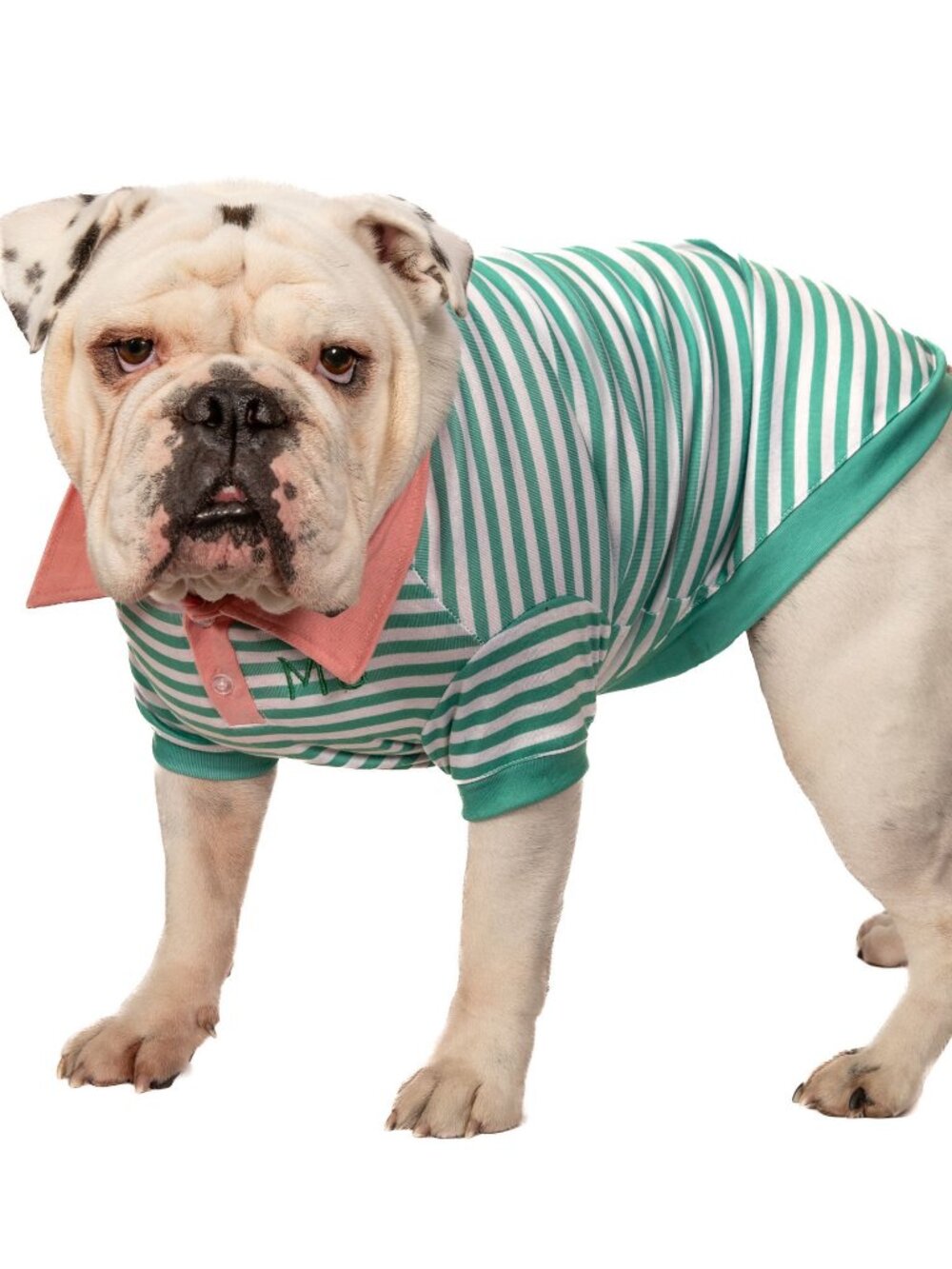 Green - Gray Stripe Polo